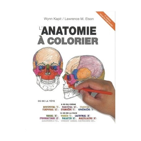 L'anatomie à colorier - Pierre Kamina - Edition Maloine