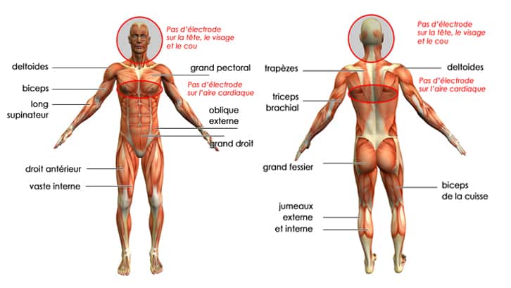 L'électrostimulation pour muscler son corps en profondeur